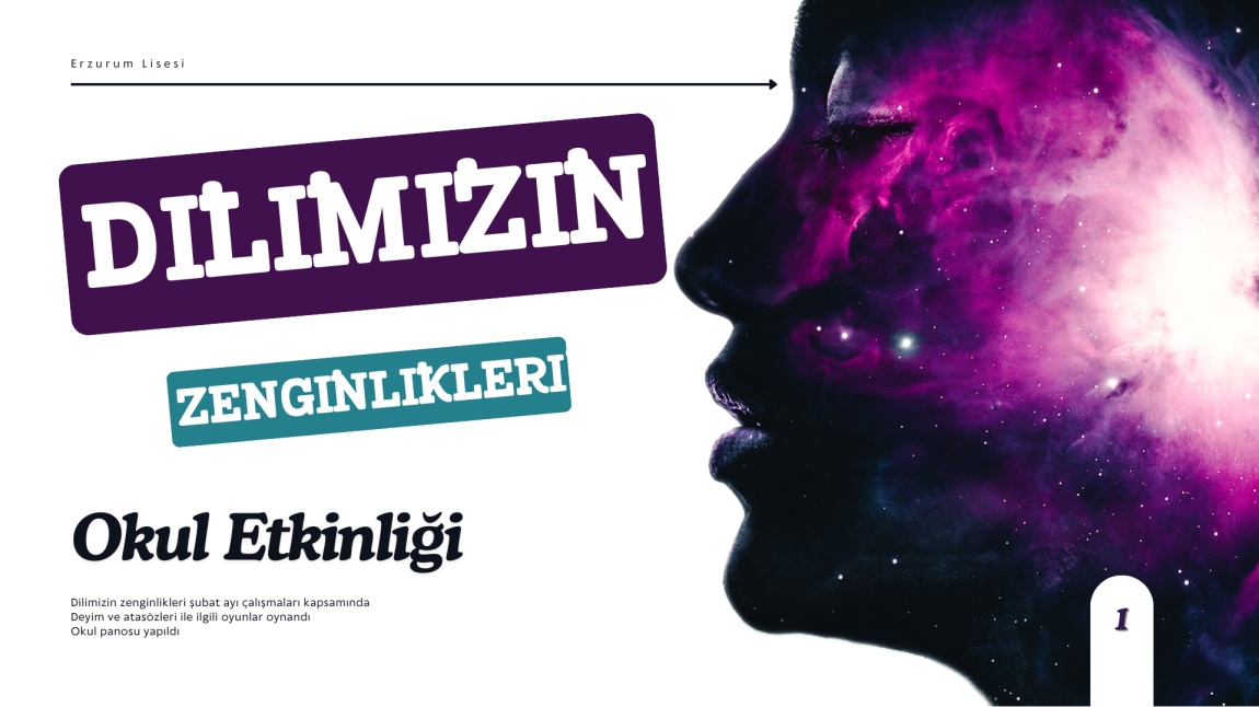Dilimizin Etkinleri Şubat Ayı Faaliyetleri